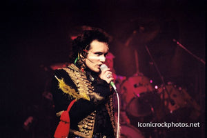 Adam and the Ants